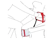 Alpha Beingurt Zusätzliches Produktbild für Alpha Beingurt 100 x 22 cm