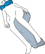 Zusätzliches Produktbild für SHP Carepur Ringkissen M