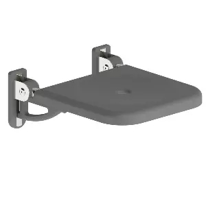 Kategoriebild für Duschklappsitz